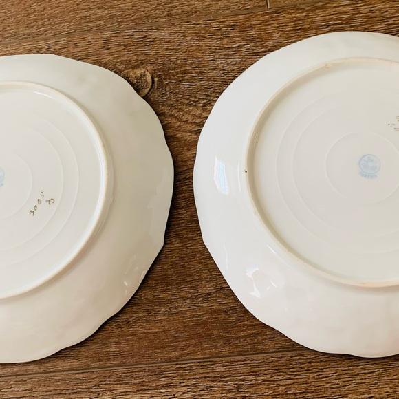Vintage Carlsbad Plates From Austria - Picture 6 of 9